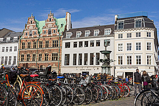 自行车停放,正面,鹳,喷泉,哥本哈根,中心,丹麦
