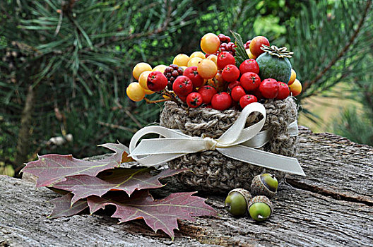 秋天,安放,浆果,山楂,叶子,橡子