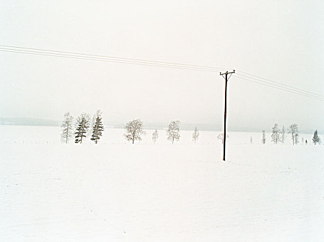 电话线,冬季风景