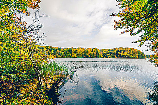 秋天,湖,风景,彩色,树,大,水,秋色