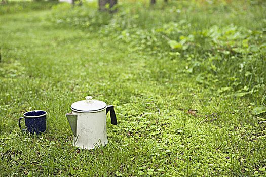 容器,大杯