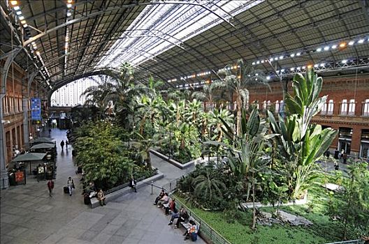 热带,花园,等待,大厅,火车站,马德里,西班牙,欧洲