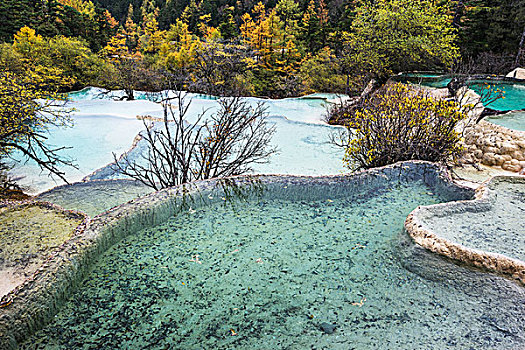 彩色,水池,沉积,黄龙,四川