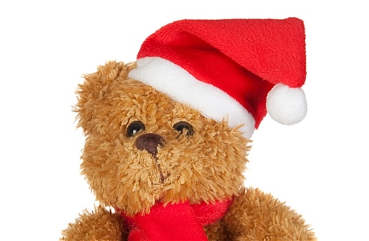 美女,泰迪熊,围巾,圣诞节,帽子