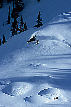 滑雪板玩家,制作,好,粉末,边远地区,金色,不列颠哥伦比亚省,加拿大