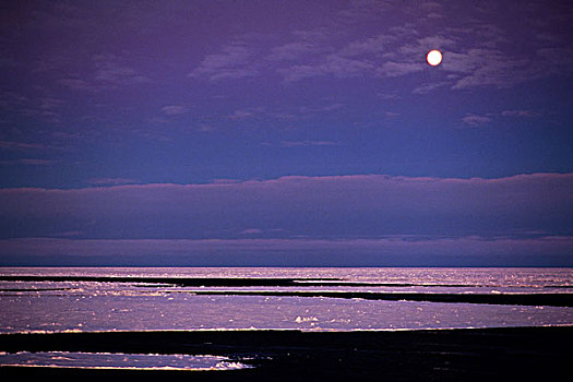 南极,威德尔海,浮冰,满月