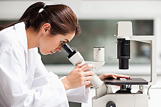 专注,女性,科学,学生,张望,显微镜
