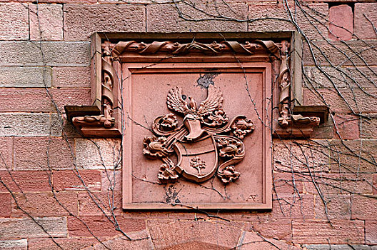 盾徽,大门,城堡,巴登符腾堡,德国,欧洲