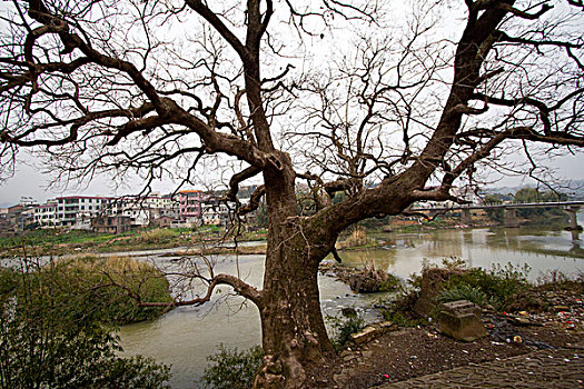 河源,和平,林寨古村落