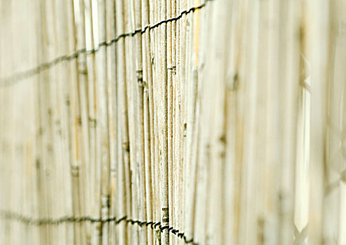 竹子,栅栏