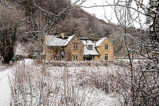 风景,空,枝条,英国,郊区住宅,砖,建筑,雪,冬季风景