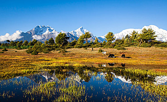 西藏吉隆美景