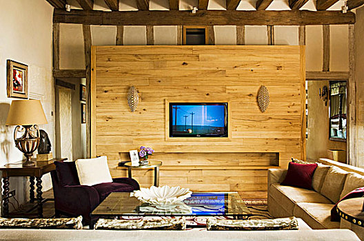 简单,沙发,扶手椅,茶几,正面,木质,分隔,电视
