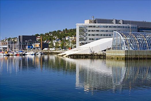 建筑,水岸,博物馆,特罗姆瑟,挪威