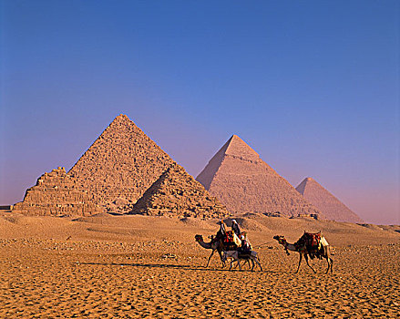 埃及,开罗,吉萨金字塔,金字塔,骆驼,驾驶员