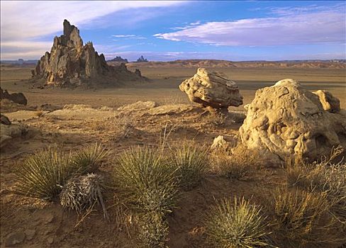 侵蚀,脚,纳瓦霍,预留,纪念碑谷纳瓦霍部落公园,亚利桑那