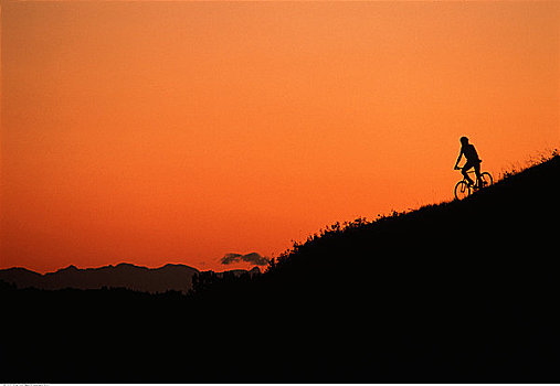 剪影,人,骑自行车,日落