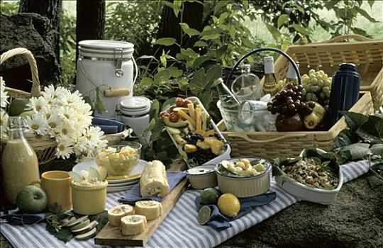 野餐,沙拉,蔬菜,水果,葡萄酒