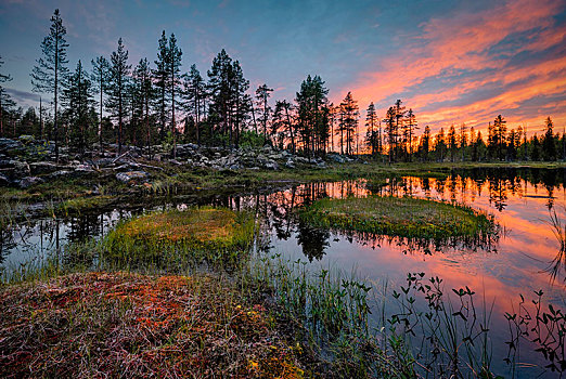 日落,橙色,云,反射,湖,树林,小,岛屿,草,芬兰,欧洲