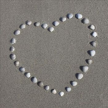 心形,海螺壳,海滩,北海,丹麦