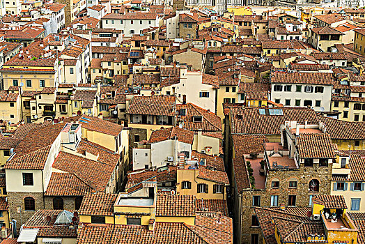 佛罗伦萨,韦奇奥宫,塔,上升,风景,老城,屋顶