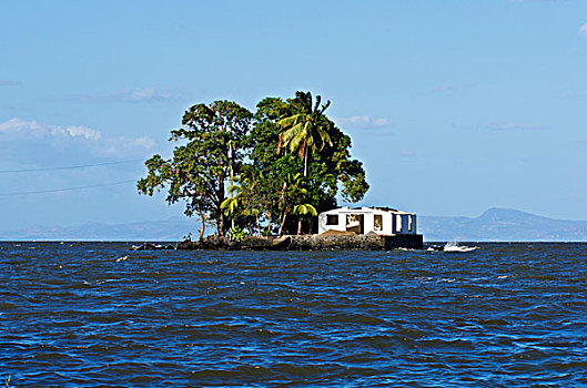 小岛,房子,热带,植被,湖,尼加拉瓜,中美洲