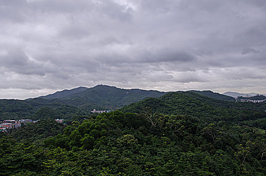 广州城市风光