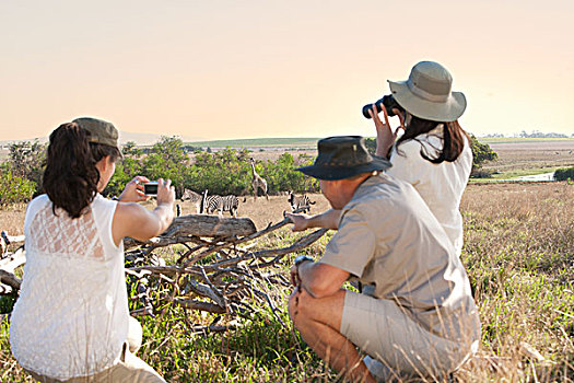 人,摄影,野生动物,旅行队,斯坦陵布什,南非
