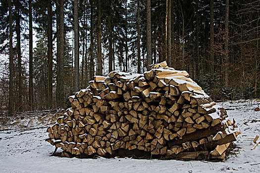 木堆,冬天,树林