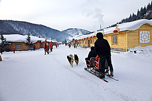 雪乡,双峰林场,村庄,风景,白天,黑龙江,牡丹江