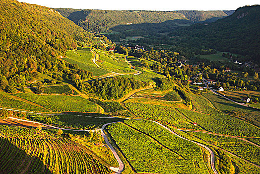 法国,勃艮第大区,朱拉,城堡,漂亮,乡村,酒用葡萄种植区