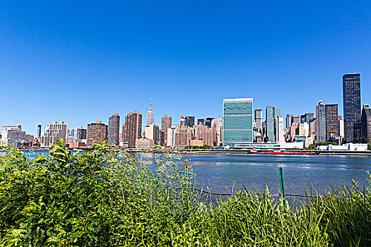 曼哈顿,纽约,晴朗,天际线,绿色公园,植物,东河,美国