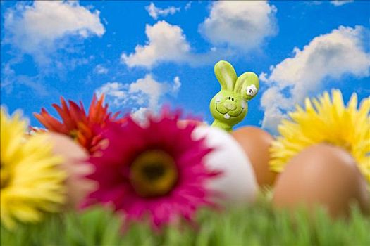 复活节兔子,隐藏,后面,蛋,花,草地