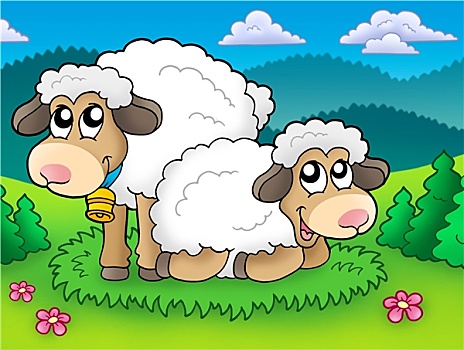 一对,可爱,绵羊,牧场