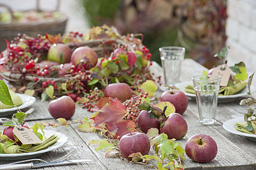 桌饰,苹果,野玫瑰果,葡萄酒