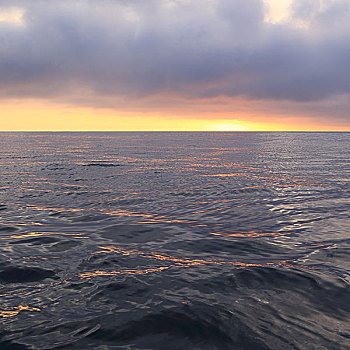 日出,海洋