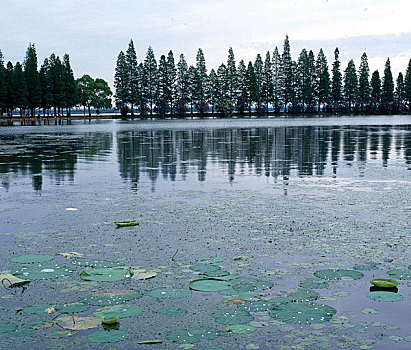 武汉风景