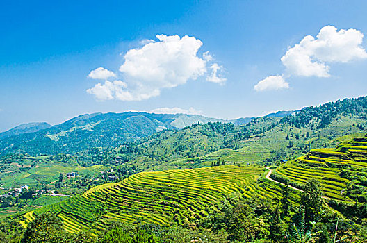 山岭风光