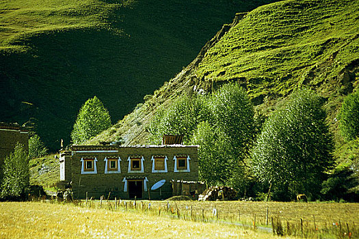四川省,甘孜藏族自治州,新都桥镇