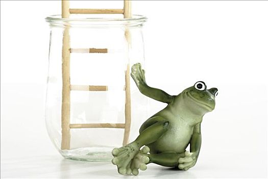 青蛙,坐,正面,梯子