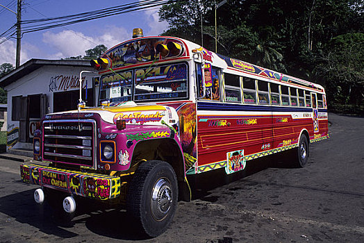 巴拿马,街景,彩色,巴士,风景