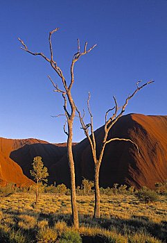 艾尔斯巨石,乌卢鲁巨石,北领地州,澳大利亚
