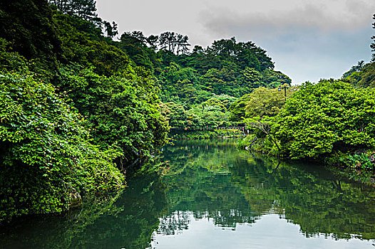 小,瀑布,漂亮,树林,世界遗产,济州岛,岛屿,韩国