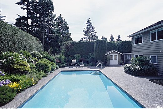 游泳池,后院