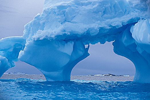 南极,深,蓝色,冰山,漂浮,阿根廷,岛屿,多,南极半岛,海岸