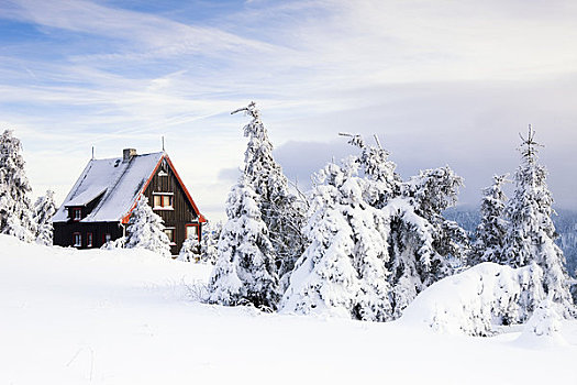 积雪,冷杉,小屋,矿,山峦,萨克森,德国