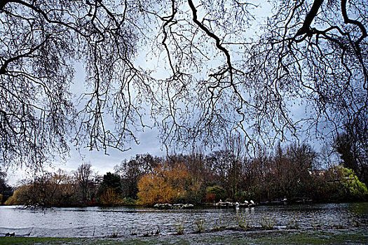 公园,伦敦,英格兰