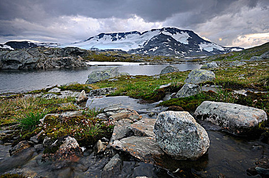 山,景色,尤通黑门山,国家,公园,挪威,欧洲