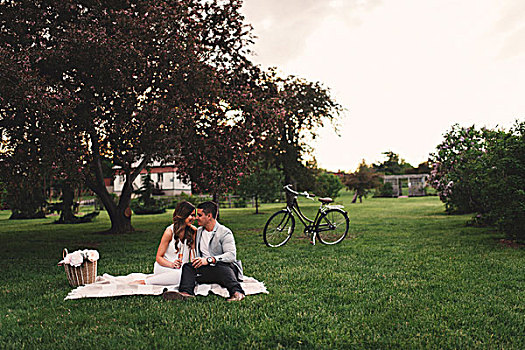 浪漫,年轻,情侣,粉色,香槟,野餐,公园,黄昏