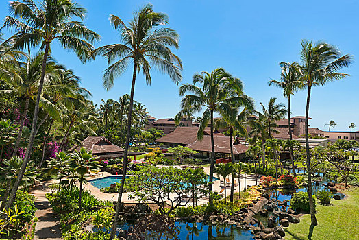 酒店,胜地,游泳池,棕榈树,坡伊普,夏威夷,美国,北美